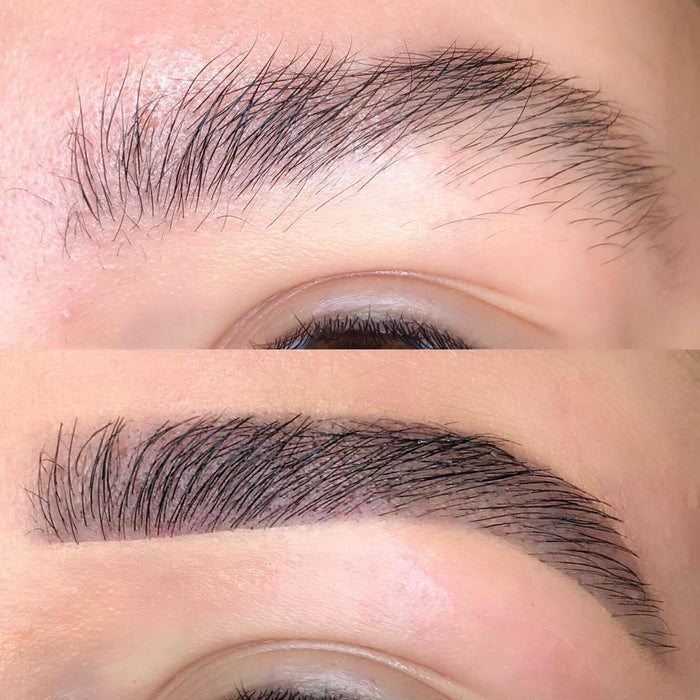 HD Brows Original Online Training Course