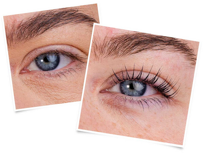LVL CeraLashLift Conversion Training | Online