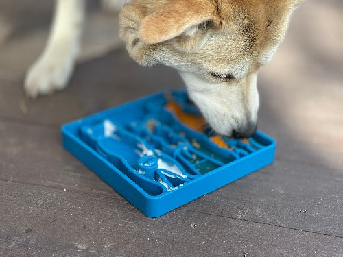 SNACKING-TRAY-WAITING-DOGS