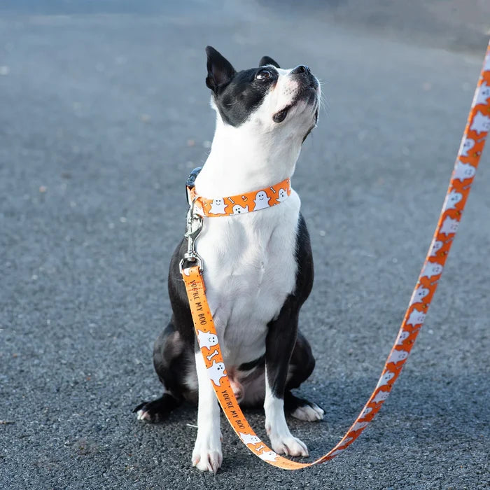 YOU'RE-MY-BOO-GHOSTS-SPORT-DOG-COLLAR