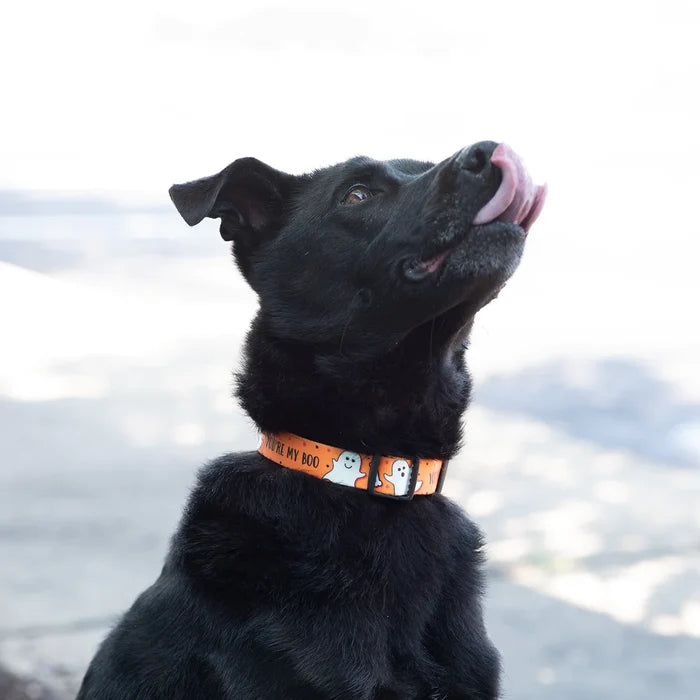 YOU'RE-MY-BOO-PRINT-SPORT-DOG-COLLAR