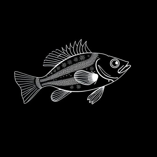 Apistogramma Hongsloi
