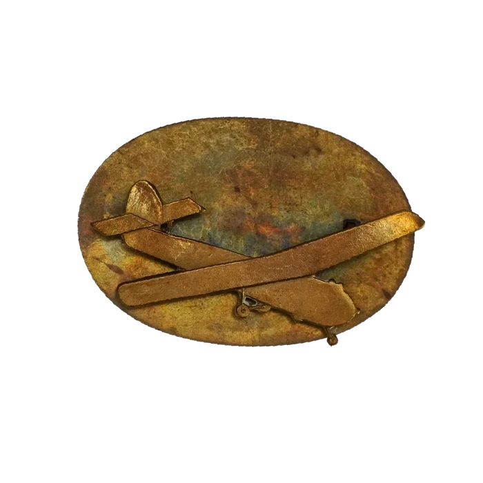 British Army Staffordshire & Borders Regiment Glider Badge - British Army Surplus - Flags, Badges & Insignia