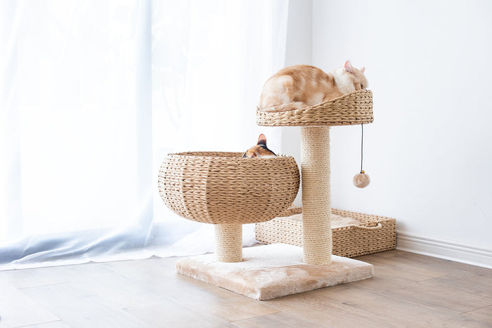 CAT-ACTIVITY-TREE-COZY-NATURAL