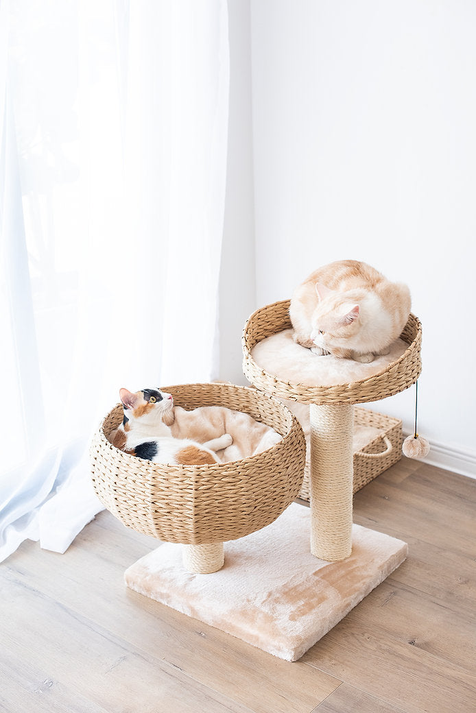 CAT-ACTIVITY-TREE-COZY-NATURAL