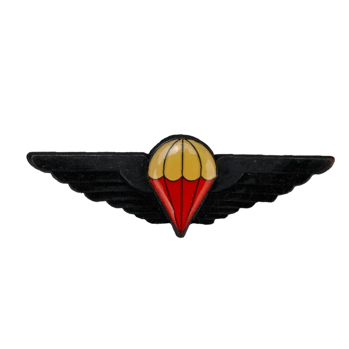 Ciskei Defence Force (CDF) Parachute Wing - Halo, Item 2 - Army & Outdoors - Flags, Badges & Insignia