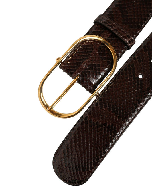 Dolce & Gabbana Brown Python Leather Gold Metal Buckle Belt