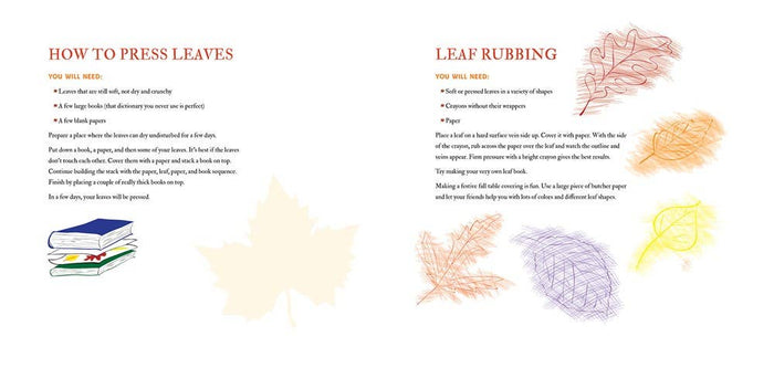 Fall Walk, paperback