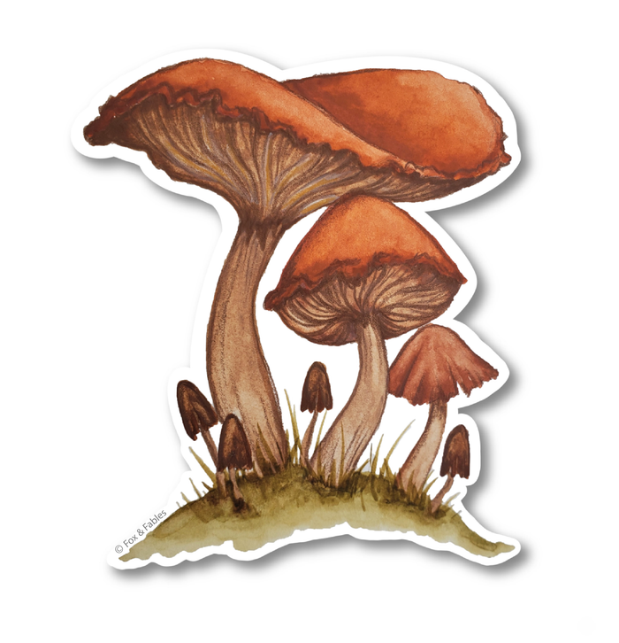 Mushrooms