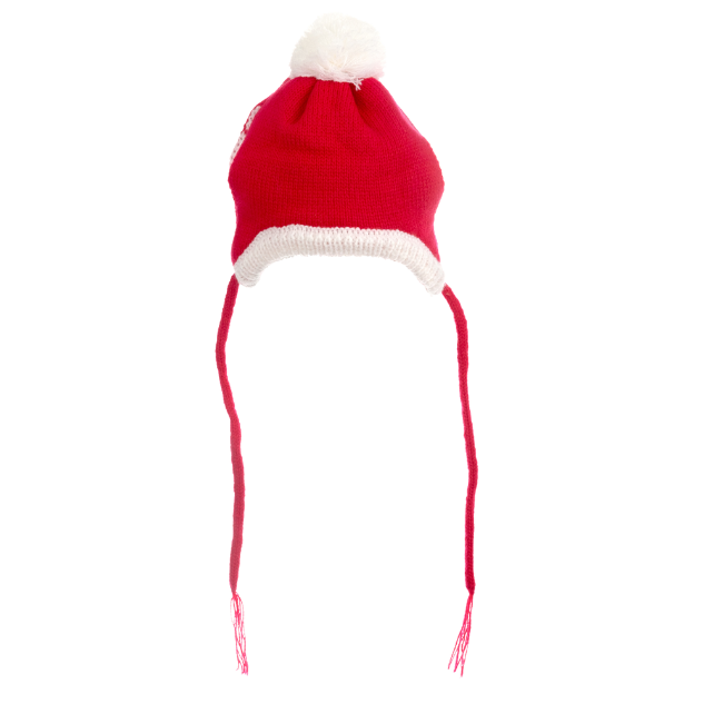 SANTA-DOG-HAT