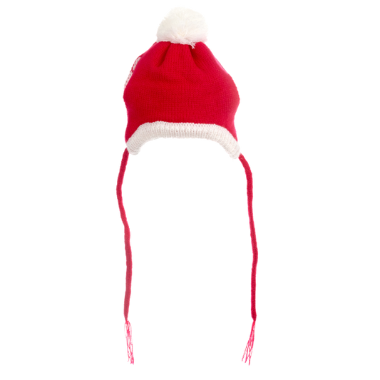SANTA-DOG-HAT