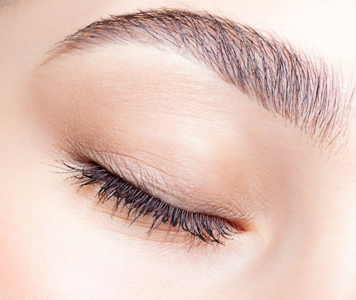 HD Brows BrowSculpt Conversion Course - Online