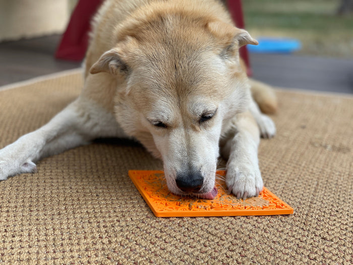 Lick Mat | Zombie Orange