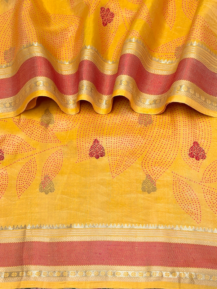 Mila Foliage Thread Woven Border Silk Saree