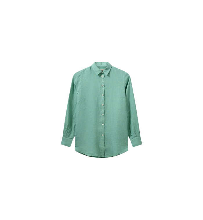 Wasabi / XS