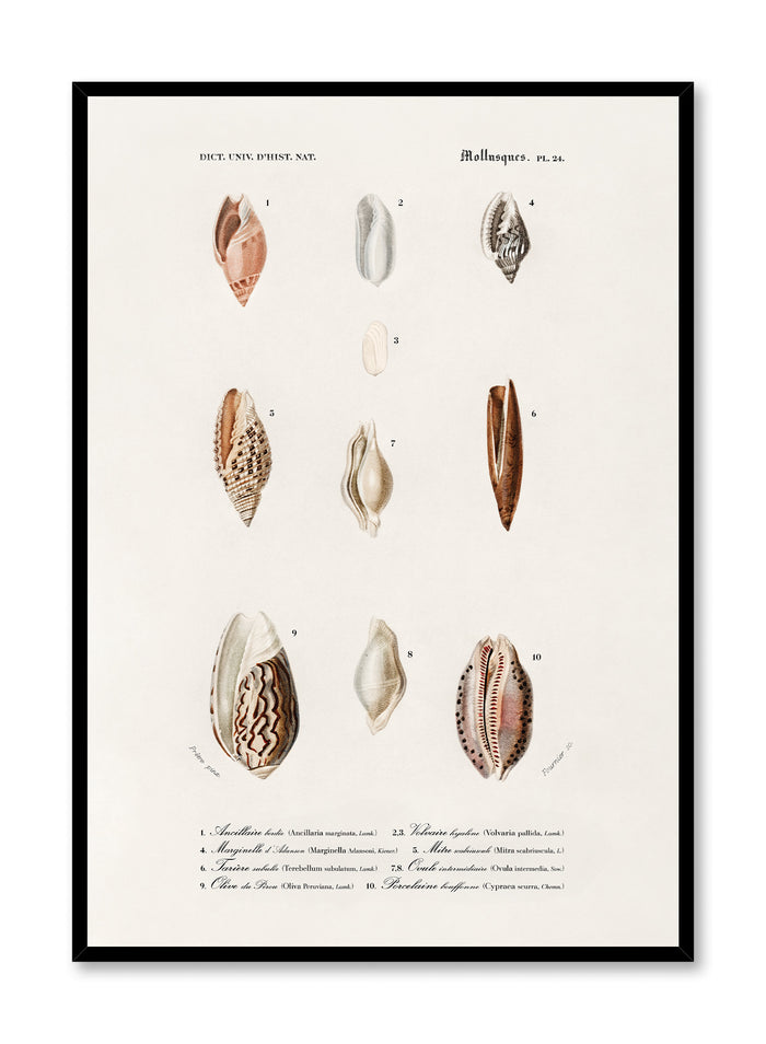 Nautical Jewels, Poster