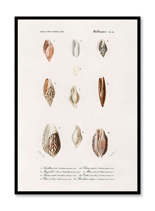Nautical Jewels, Poster