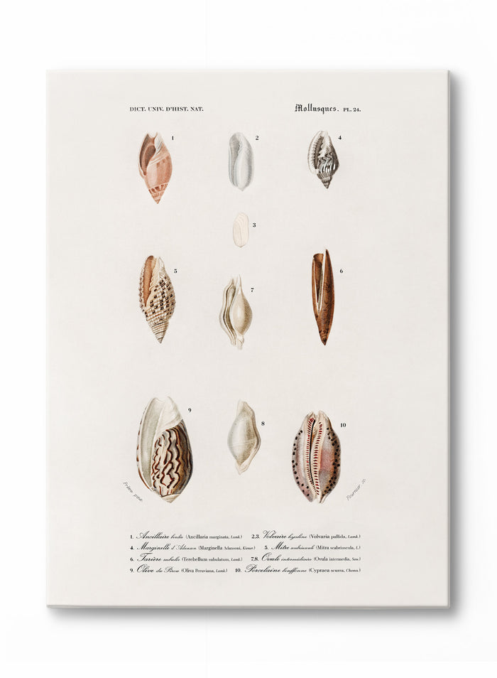 Nautical Jewels, Poster