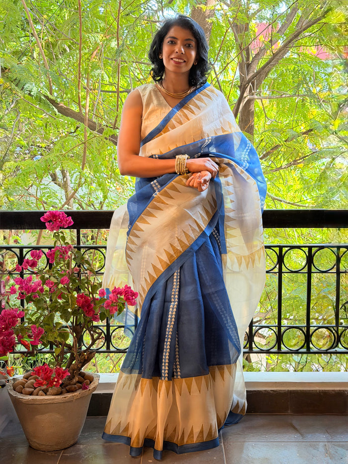Nisha Geometric Organza Saree - Blue