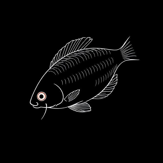Pearl Gourami