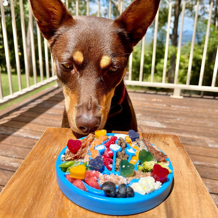 Snacking Tray | Hot Air Balloon