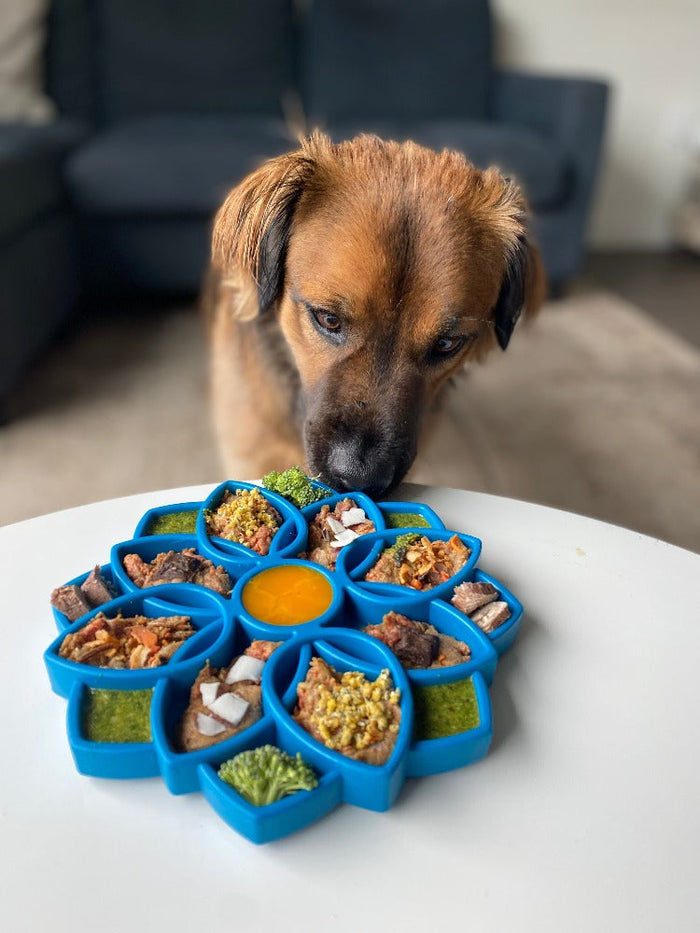 SNACKING-TRAY-MANDALA-BLUE