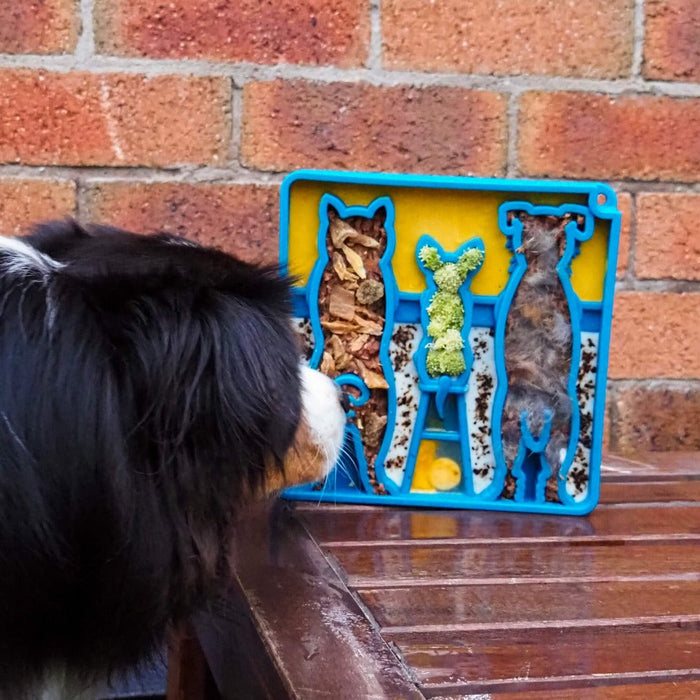 SNACKING-TRAY-WAITING-DOGS