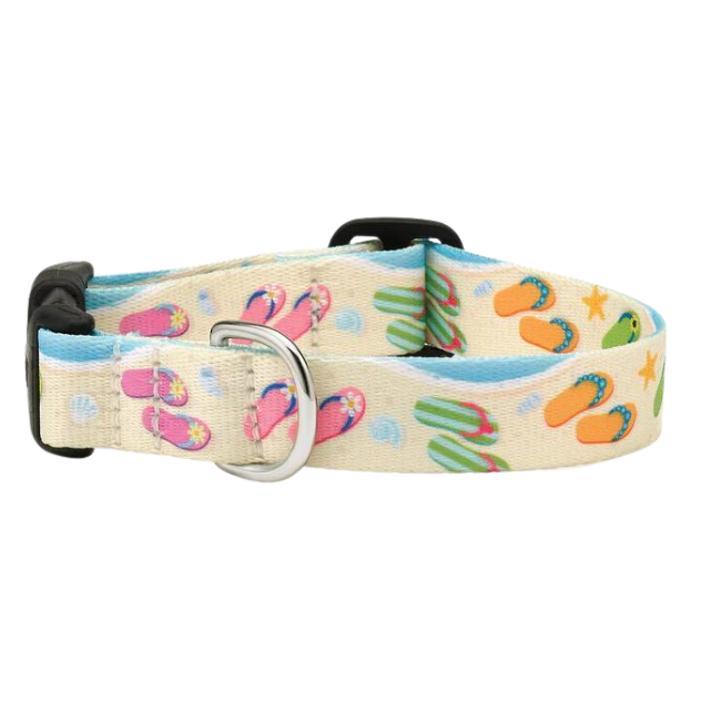 FLIP-FLOPS-DOG-SPORT-COLLAR