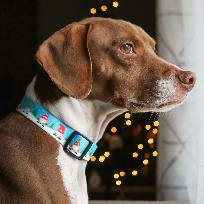 CHRISTMAS-GNOMES-SPORT-DOG-COLLAR