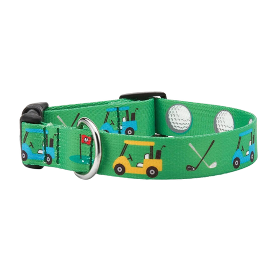 HOLE-IN-ONE-DOG-SPORT-COLLAR