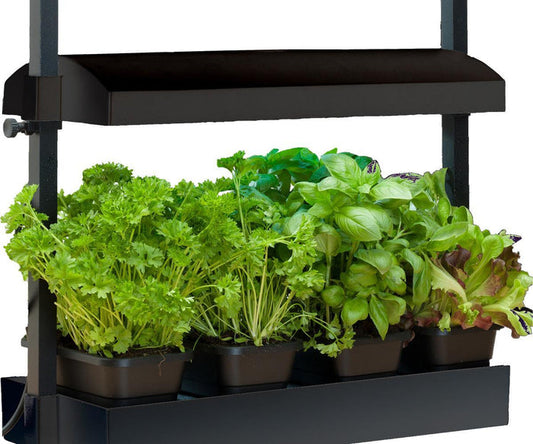 Sunblaster Micro T5 Grow Light Garden, Black