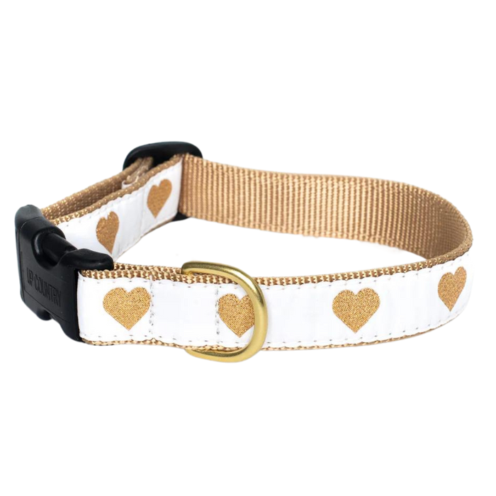 HEARTS-OF-GOLD-WHITE-DOG-COLLAR