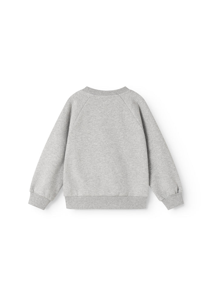 Gray sweatshirt blouse with long sleeves and ribbed trim at the neck and cuffs.