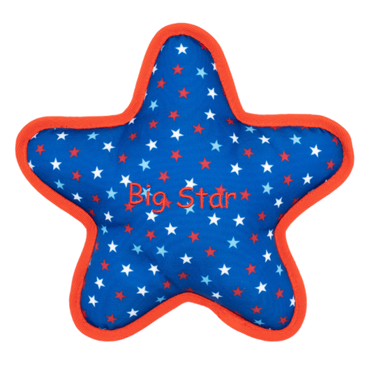 BIG-STAR-DOG-TOY-PLAY