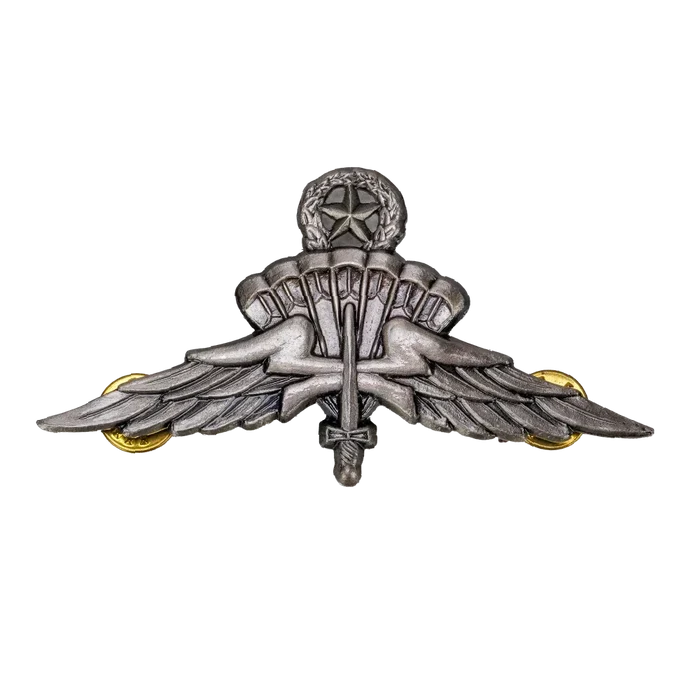 US Army Freefall Jump Wings Badge, Item 1 - US Army Surplus - Flags, Badges & Insignia