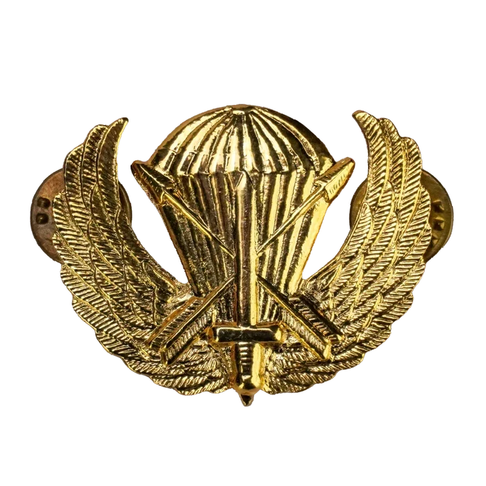US Army Special Forces Prototype Parachutist Wing Badge - US Army Surplus - Flags, Badges & Insignia