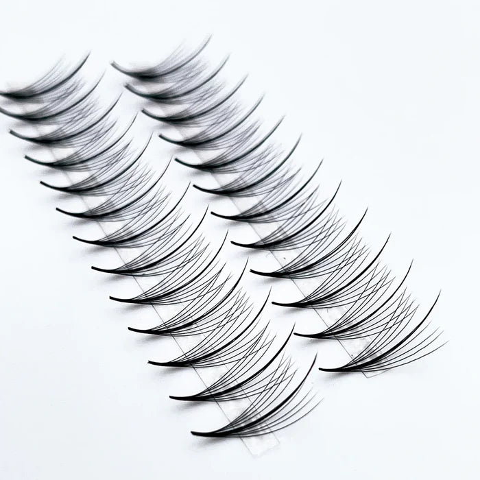 Wispy Lashes | 9D