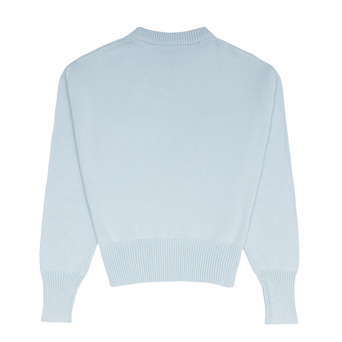 women's light blue cropped knit sweater